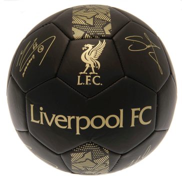   Liverpool FC Signature arany Phantom futball labda 5-ös méret